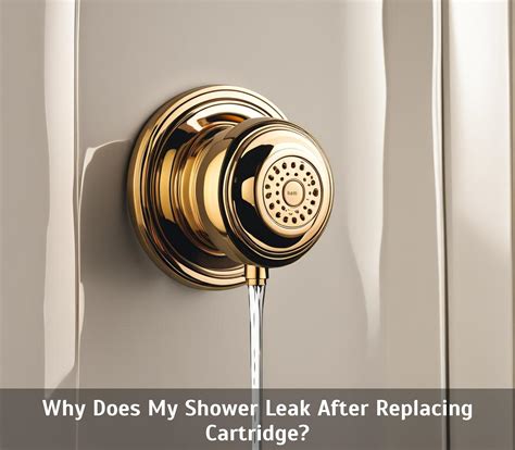 replaced cartridge shower still leaks|faucet leaking after replacing cartridge.